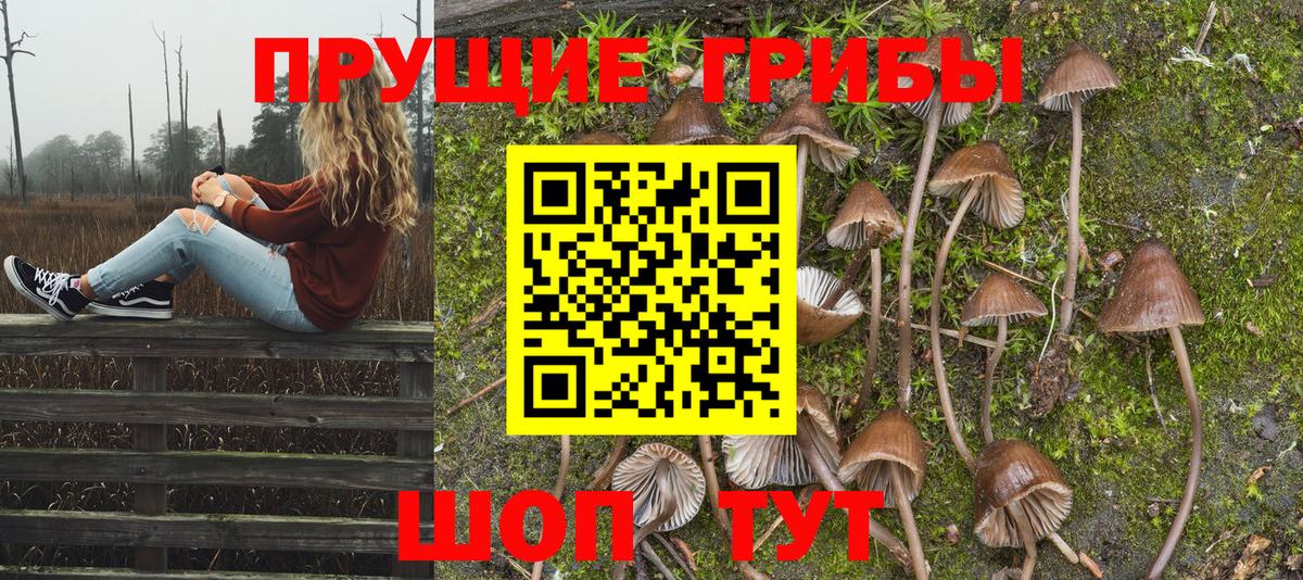 Псилоцибиновые грибы Psilocybe  Галлюциногенные грибы Psilocybine cubensis  Вход с VPN  где купить наркоту  Тобольск 